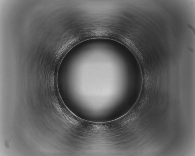 X0000101120442200806261440