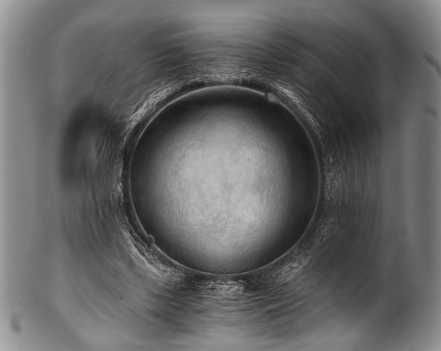 X0000101120443200806261440