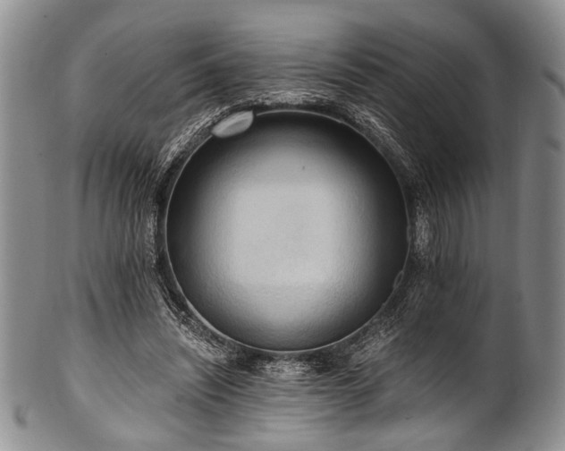 X0000101120444200806261440