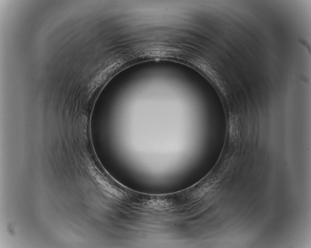 X0000101120445200806261440
