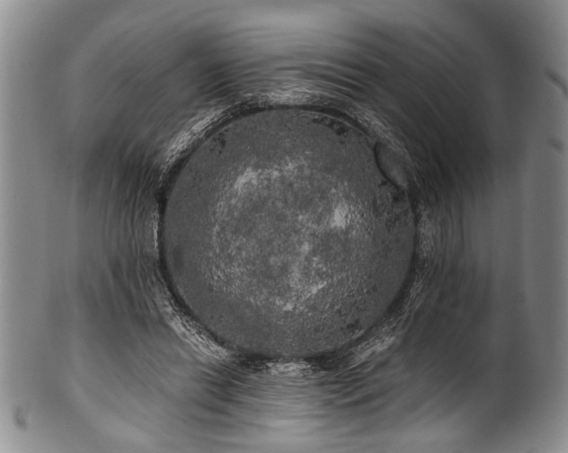 X0000101120446200806261440