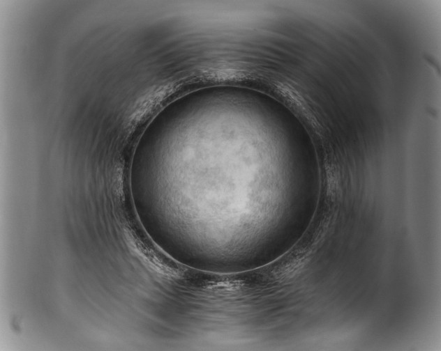 X0000101120447200806261440