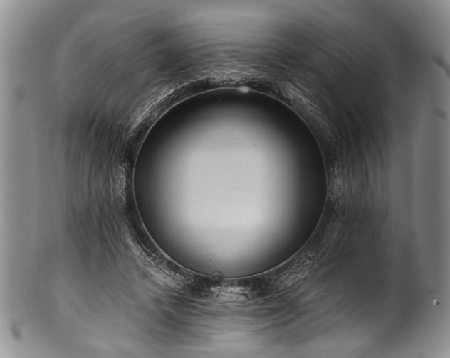 X0000101120448200806261440