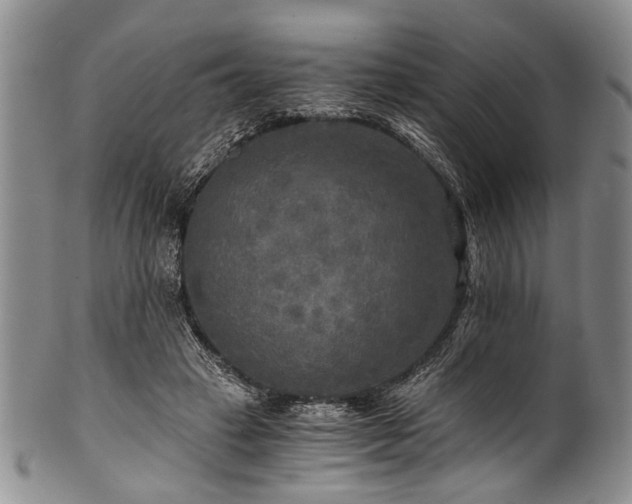 X0000101120449200806261440