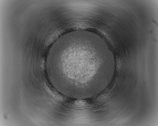 X0000101120451200806261440