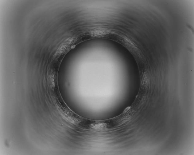 X0000101120452200806261440