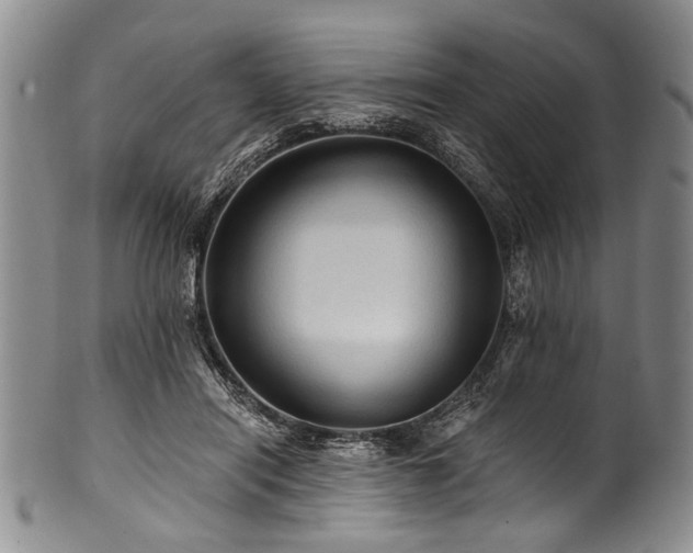 X0000101120454200806261440