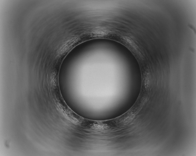 X0000101120455200806261440