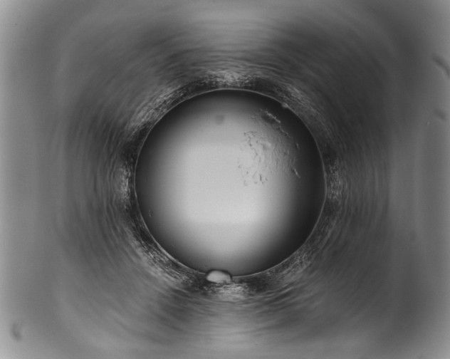 X0000101120456200806261440