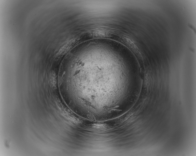 X0000101120457200806261440