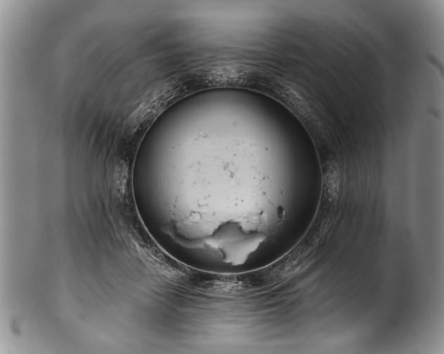 X0000101120458200806261440