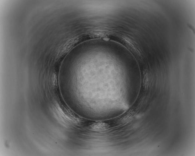 X0000101120459200806261440
