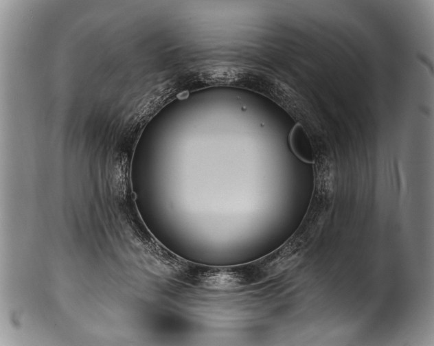 X0000101120460200806261440