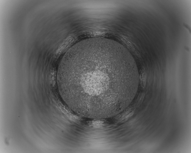 X0000101120462200806261440