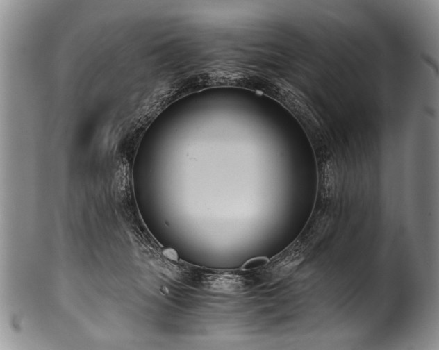X0000101120463200806261440