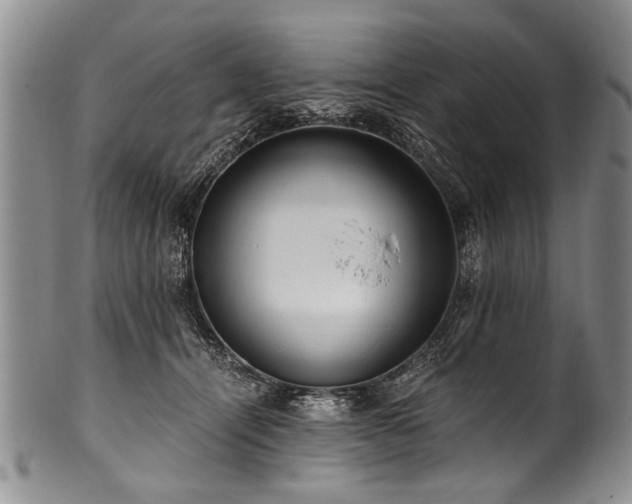 X0000101120464200806261440