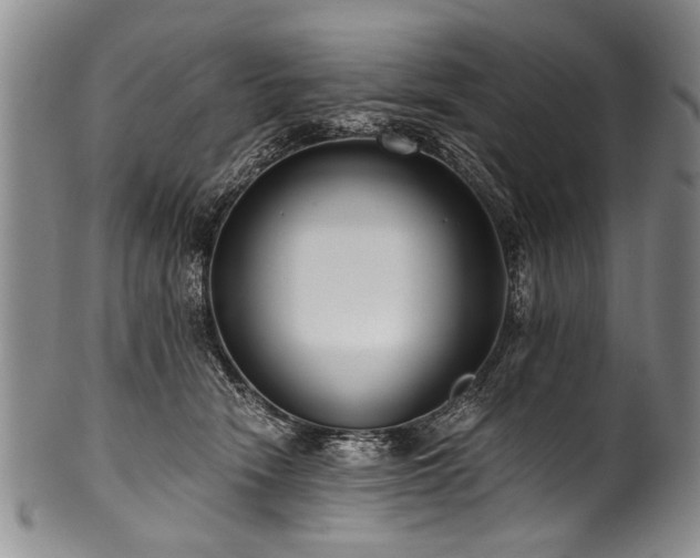 X0000101120466200806261440