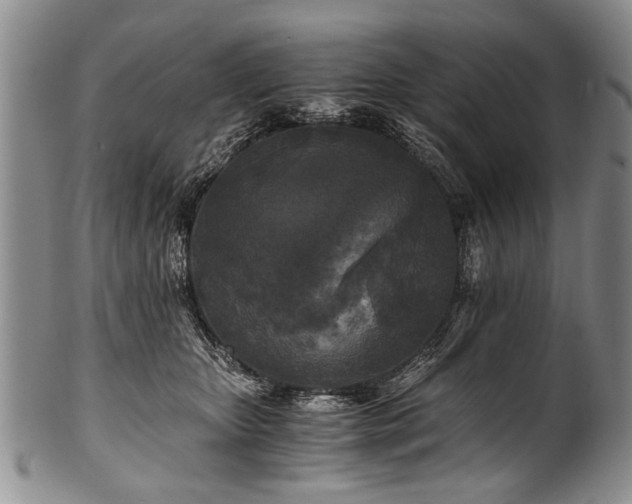X0000101120467200806261440