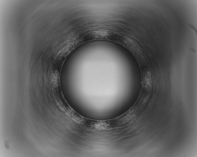 X0000101120468200806261440
