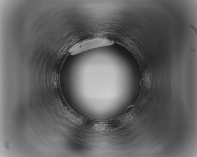 X0000101120470200806261440