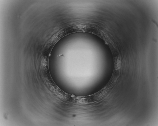 X0000101120472200806261440