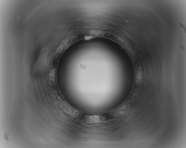 X0000101120473200806261440