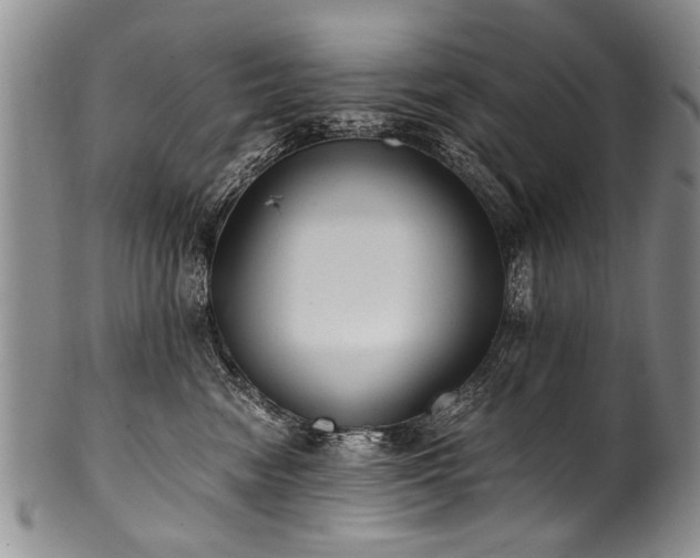 X0000101120474200806261440