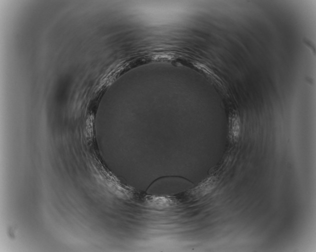 X0000101120475200806261440