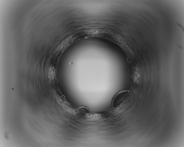 X0000101120476200806261440