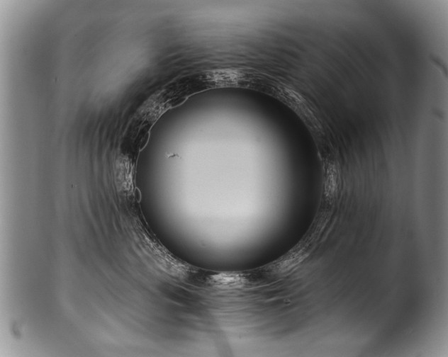 X0000101120477200806261441