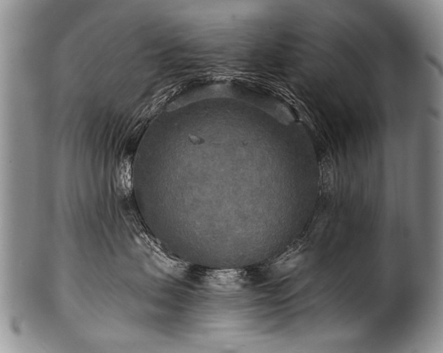 X0000101120479200806261441