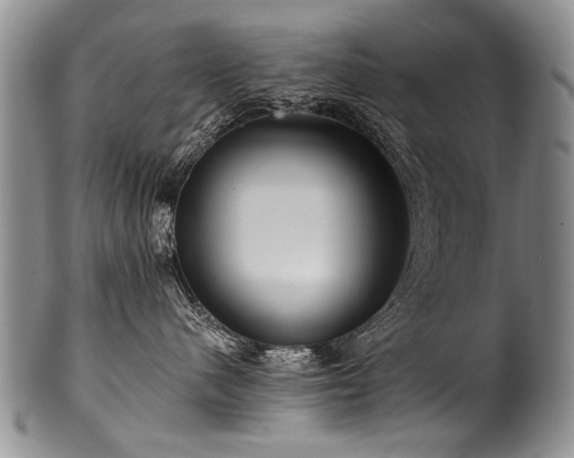 X0000101120480200806261441