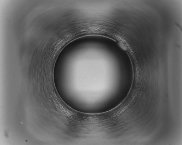 X0000101120481200806261440
