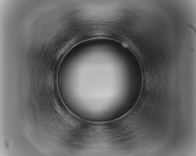 X0000101120482200806261440