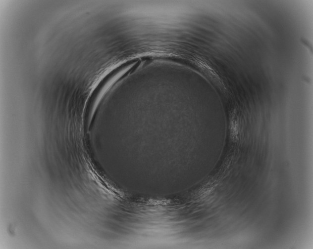 X0000101120484200806261440