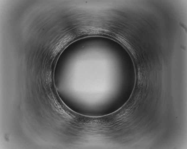 X0000101120485200806261440