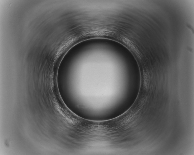 X0000101120486200806261440