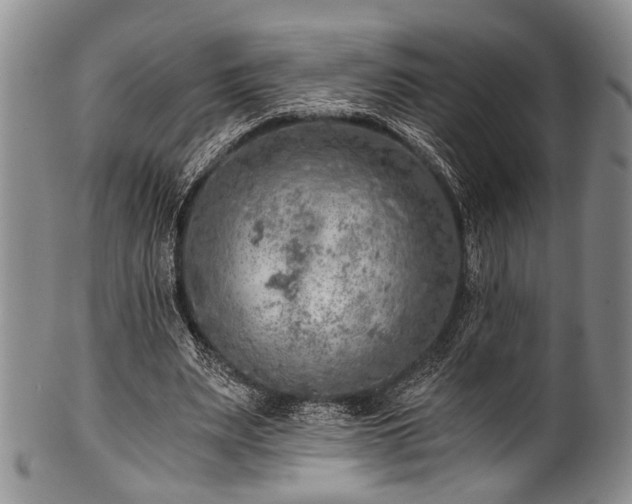 X0000101120487200806261440