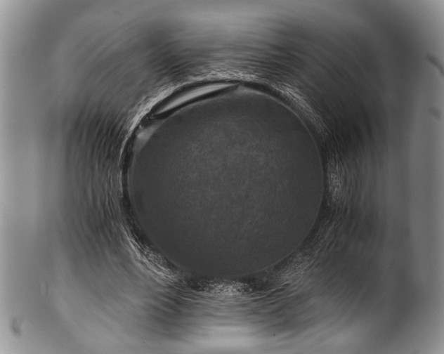 X0000101120488200806261440