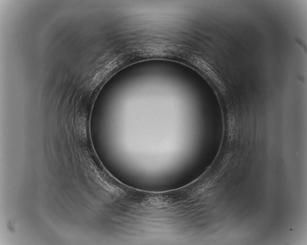 X0000101120489200806261440