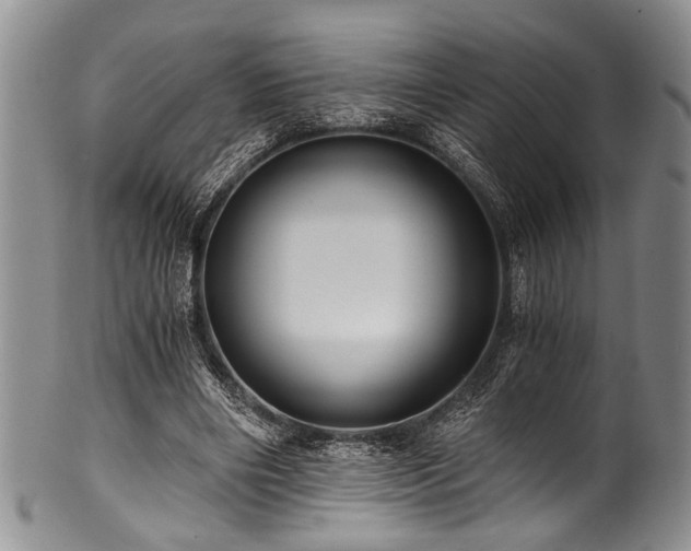 X0000101120490200806261440