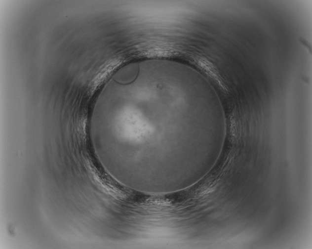 X0000101120491200806261440