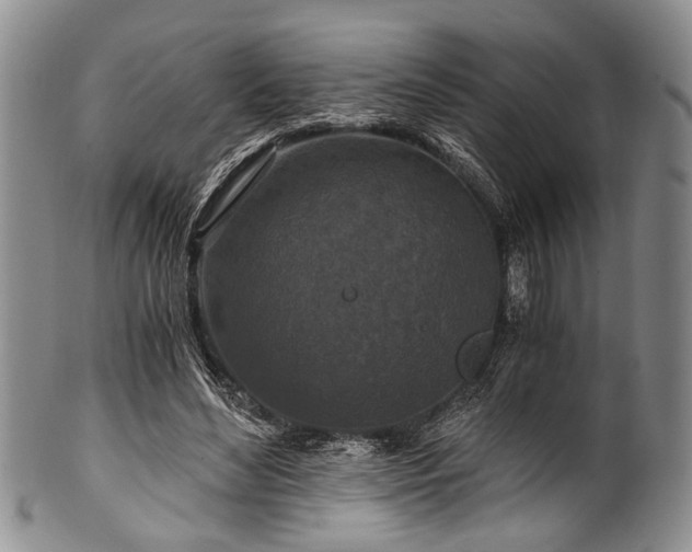 X0000101120492200806261440