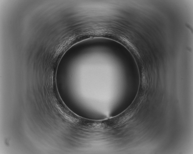 X0000101120493200806261440