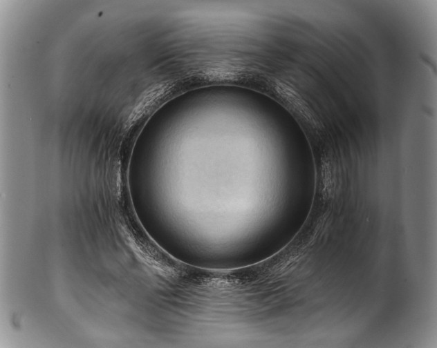 X0000101120494200806261440