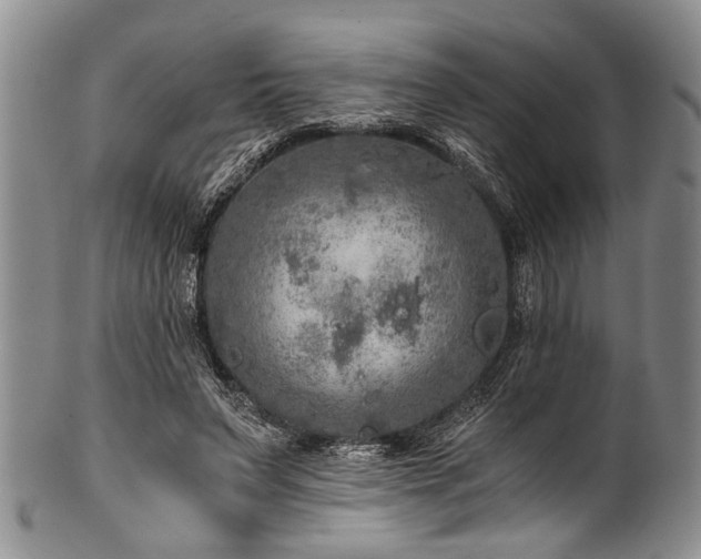 X0000101120495200806261440