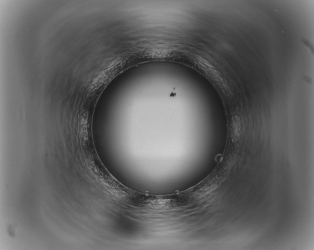 X0000101120497200806261440