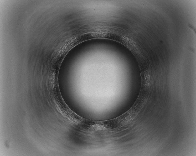 X0000101120498200806261440