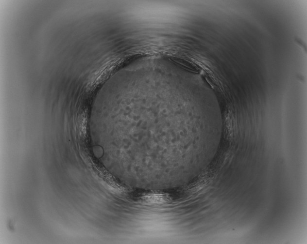 X0000101120499200806261440