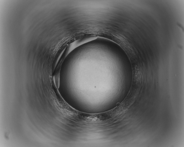 X0000101120502200806261440